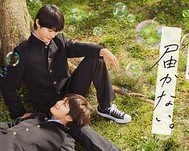 精彩预告西瓜电影在线观看海报剧照